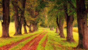 Najaarsdrive 4 oktober 2025